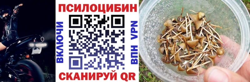 Купить  Сим  Галлюциногенные грибы Cubensis 
